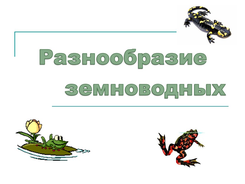 Разнообразие земноводных 7 класс. Многообразие земноводных. Разнообразие амфибий. Многообразие земноводных 7 класс. Многообразие земноводных презентация 7 класс.